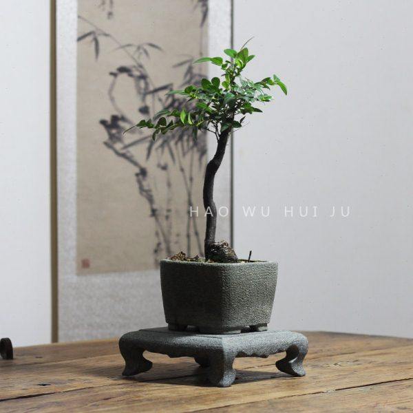 小叶紫檀专用花盆青石菖蒲盆桌面小盆景盆新中式简约宽口石盆摆件,家居饰品,花盆,淘宝优惠券,粉丝福利购,淘宝优惠卷