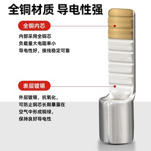 5.5鸭嘴鼻子鸭舌端子片型插 国标紫铜扁针型裸端头DBN PTN1.25