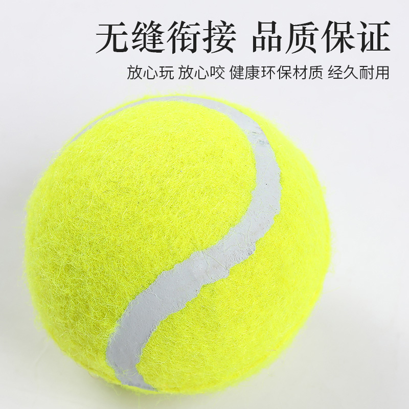 昕源狗狗玩具球金毛泰迪幼犬磨牙玩具萨摩耶比熊网球玩具宠物用品