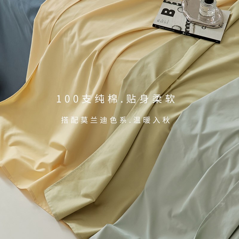 肥子妈2024新款秋冬简约纯棉全棉纯色磨毛单床单加厚单双人被单
