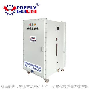 蒸汽发生器BT4BT5CT4 电加热 电蒸汽发生器 实验研究防爆型可定制