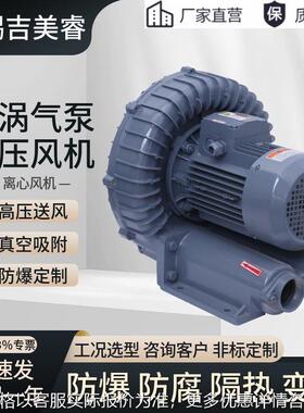 RB400耐高温防腐蚀粉尘气体防爆BT4/CT4环形高压鼓风机旋涡式气泵