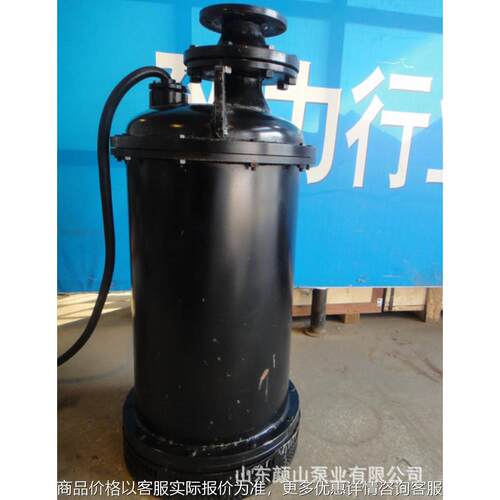 井用潜水电泵 潜水电泵 小型 潜水电泵厂家