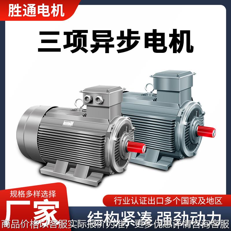 供应YE3系列电机 YE3-315M-8级 75W 三相异步立式电动机 水泵