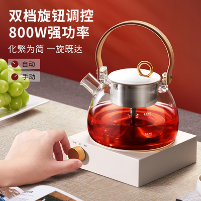 绿珠家用电煮茶壶全自动喷淋蒸茶器小型办公室养生玻璃烧水泡茶壶