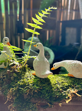 露台装饰庭院花园造景户外小院微景观鸭子动物科尔鸭摆件古法鱼缸