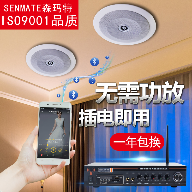 森玛特无线蓝牙音响吸顶壁挂草地音箱室内广播喇叭免布线背景音乐