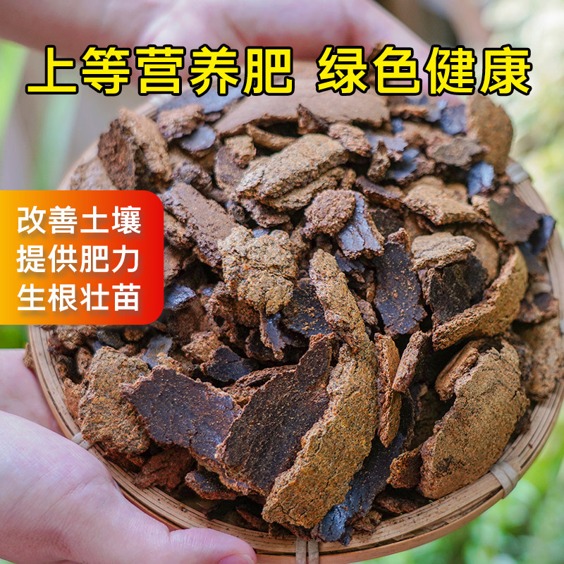 菜籽饼肥料农家现榨菜枯油菜饼钓鱼打窝油枯菜籽有机肥营养土肥料