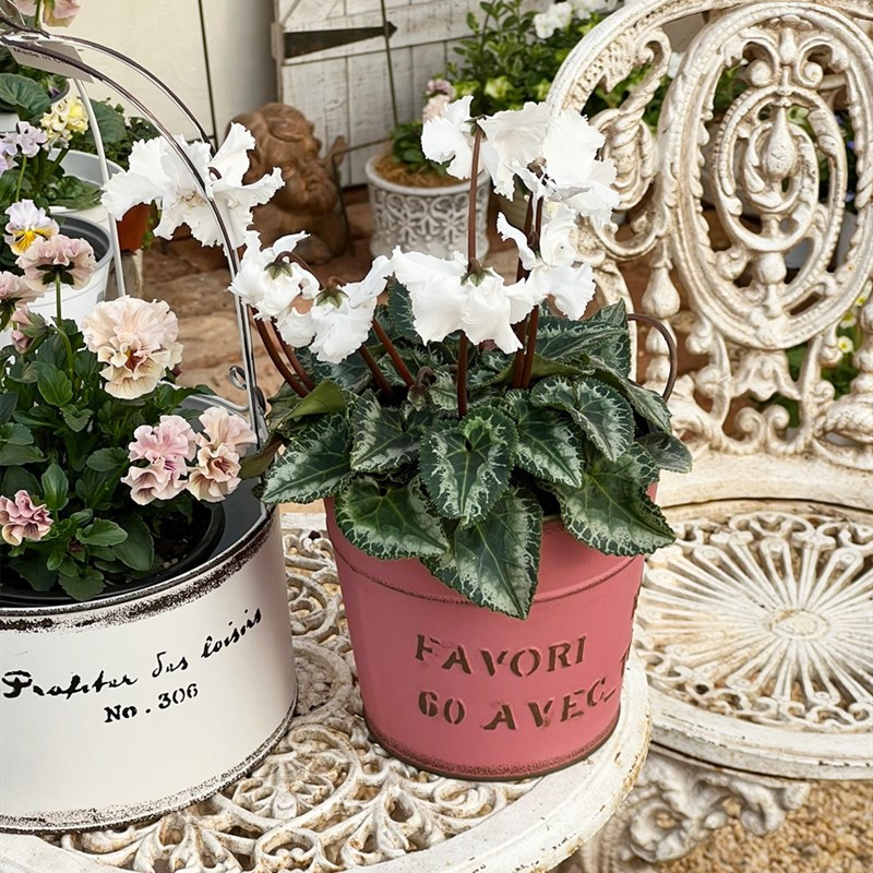 日系in风百搭做旧铁艺耳字母铁皮桶花盆花园阳台装饰品杂货