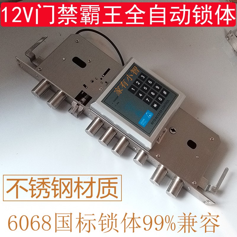 全自动霸王电子锁体 电机锁 防盗门门禁 灵性锁楼宇对讲电控锁