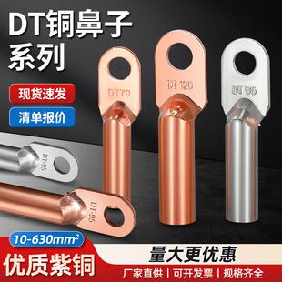 500平方接线端子堵油线耳鼻子 铜鼻子铜接头DT10