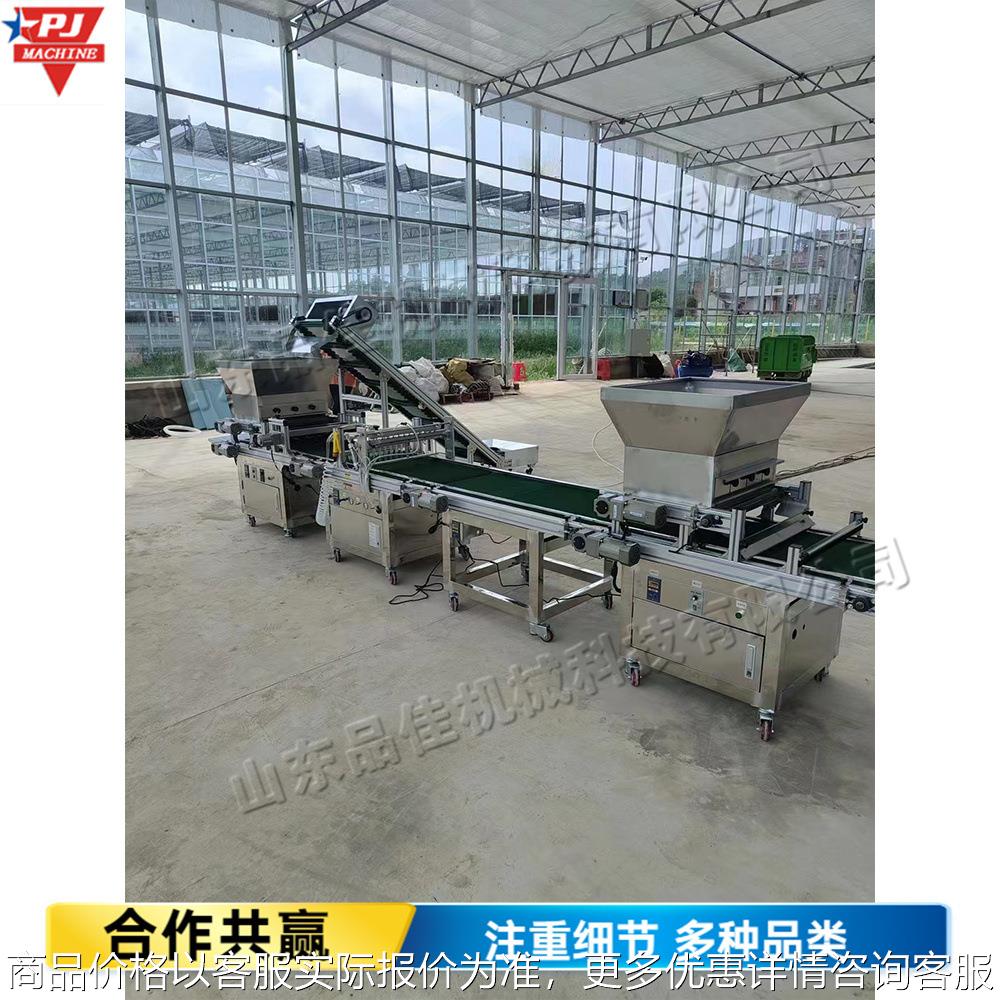 穴盘育苗机装土，压穴。播种。覆土一体化机器 可移动设备