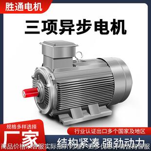 132W YE3 315M 三相异步电动机圣通机电厂家货源 全铜绕线电机