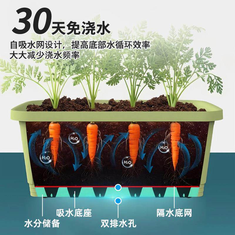 花盆阳台种菜塑盆长方果蔬种植形特大料爱丽丝箱蔬菜种植用种菜专
