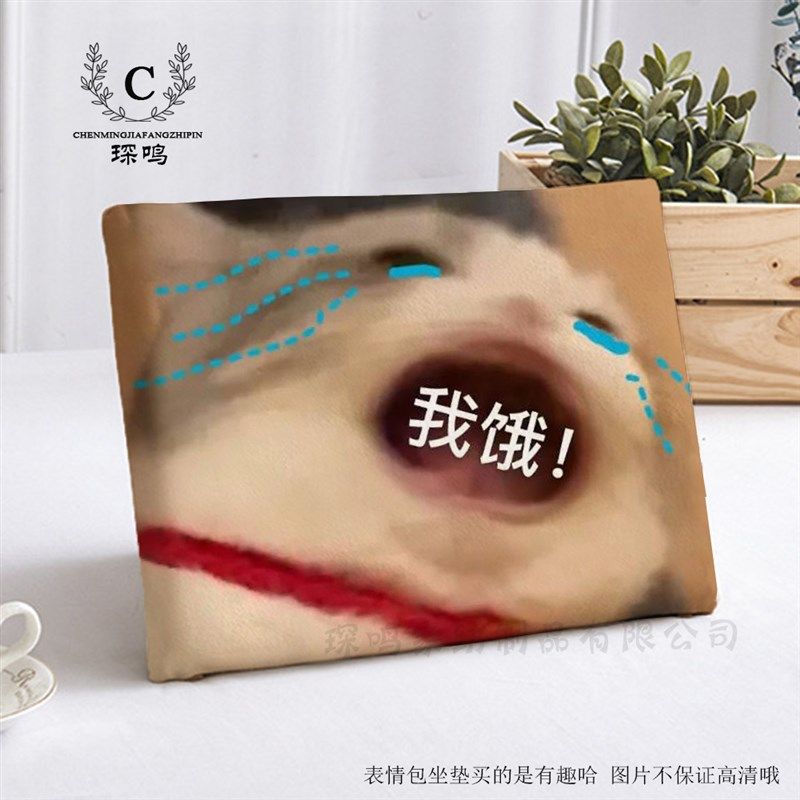 大嘴小动物表情包坐垫屁垫久坐办公室座垫学生宿舍凳子家用餐椅垫,居家布艺,椅垫,淘宝优惠券,粉丝福利购,淘宝优惠卷