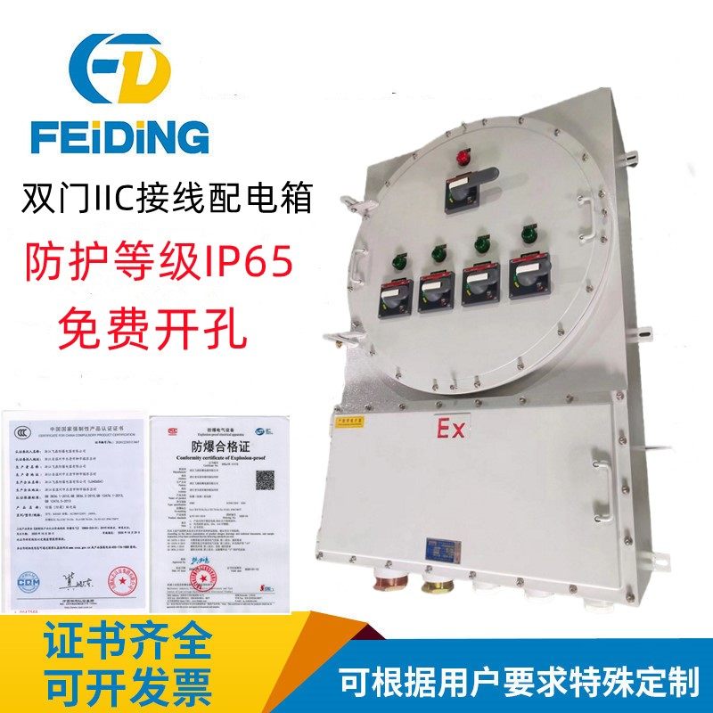 CT6/CT4防爆配电箱接线控制按钮照明插销防爆箱防爆柜