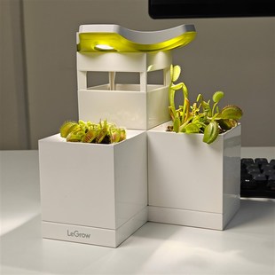 捕蝇草专用 LeGrow盆体组合 食虫植物茅膏菜适用白色方形桌面花盆