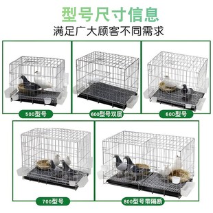 新型鸽子笼养鸽子专用折叠养殖笼室内新款繁殖笼赛鸽公棚白羽家用