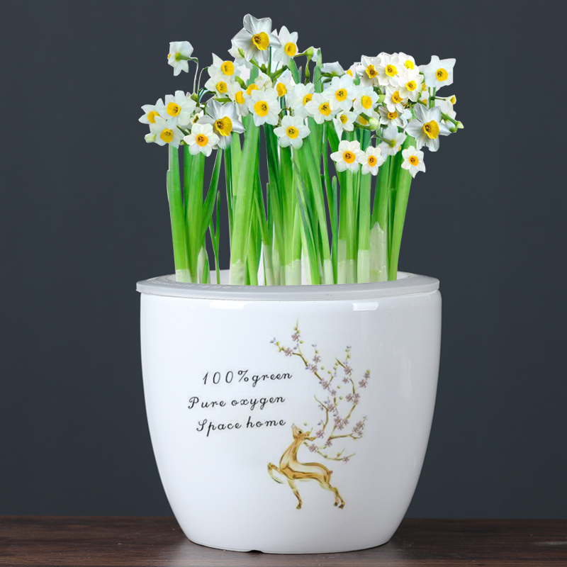 简约白色懒人花盆陶瓷自动吸水绿萝无孔水培储水荷花缸莲花专用盆