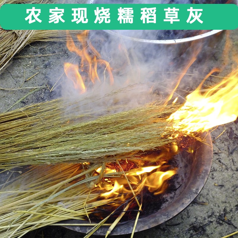 糯稻草灰种植用植物灰稻杆现烧稻草盆景养花种花种菜田园树苗肥料