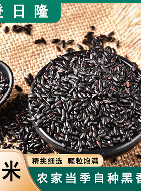 东北黑米当季新鲜黑米农家自产优质新鲜黑米五谷杂粮煮粥黑米粥