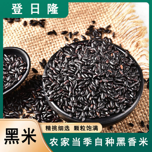 东北黑米当季新鲜黑米农家自产优质新鲜黑米五谷杂粮煮粥黑米粥