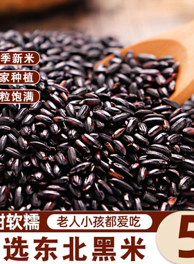 东北黑米当季新鲜黑米农家自产优质新鲜黑米五谷杂粮煮粥黑米粥