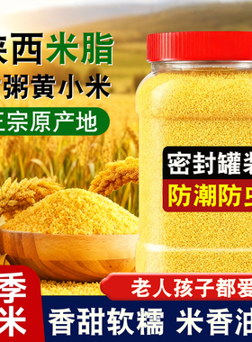 陕西米脂黄小米当季农家自产颗粒饱满五谷杂粮小米黄小米早餐粥