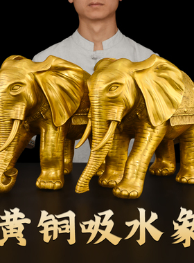 黄铜大象摆件一对招客厅入户门口财吸G水铜象玄关进门大号卷直鼻
