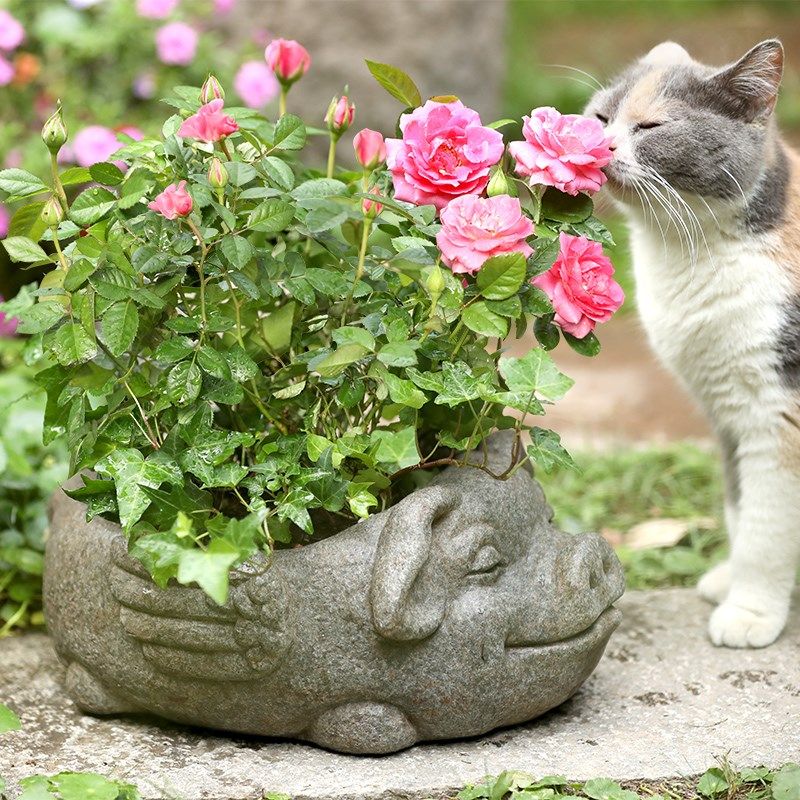 中式阳台造景青蛙动物盆栽花盆户外庭院创意飞猪盆器花园装饰摆件,家居饰品,花盆,淘宝优惠券,粉丝福利购,淘宝优惠卷