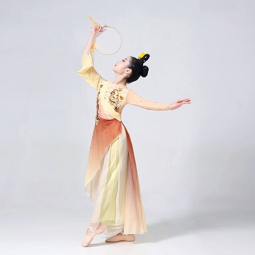 古典舞演出服女2024新款飘逸剧目寒依疏影儿童舞蹈服装艺考表演服