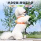狗狗牵引绳透气胸背带可爱猫咪牵引绳春季 上新遛狗绳子小型犬专用