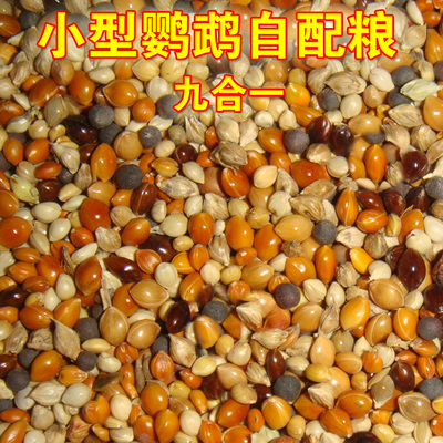 自配鹦鹉鸟粮九合一文鸟珍珠虎皮小型鸟饲料混合粮食一份五斤包邮