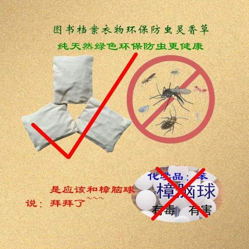 去味灵防霉书柜防蛀零陵衣柜樟木香草防虫香芸香草樟脑丸防潮条代