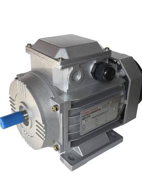 YY5622|DO25622|单相90W|2极|2800转电容运转异步电机