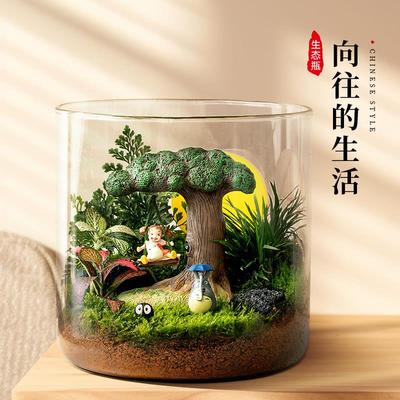 苔藓微景味工WJ-20250位桌面趣治愈解压植物小摆件观生态造景室内