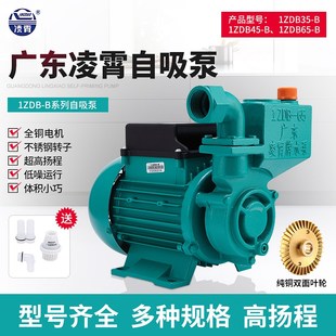 广东凌霄牌水泵家用自来水增压泵1ZDB35 65井水抽水机自吸水泵