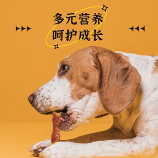 星际喵狗狗零食风干羊蹄缠鸡肉鲜香酥脆磨牙棒洁齿休闲肉干食品