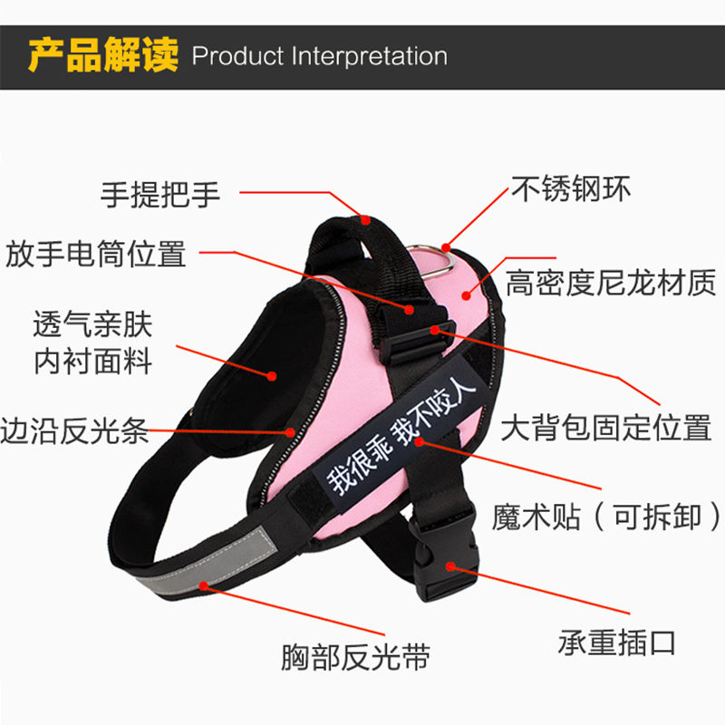 狗狗牵引绳大型犬小型中型犬伸缩训练泰迪金毛遛狗耐咬P字狗绳P链