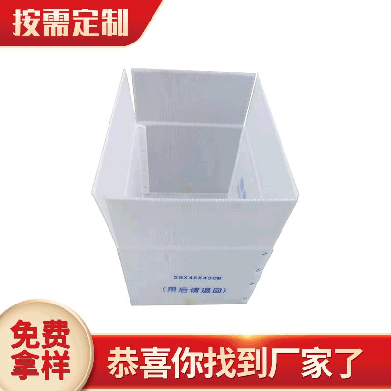 中空板物流周转箱可折叠瓦楞骨架箱白色pp塑料箱万通板可循环使用