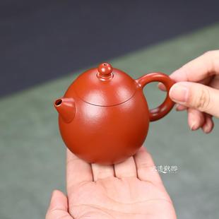 宜兴纯全手工紫砂壶正宗赵庄朱泥小容量龙蛋壶家用功夫西施泡茶壶