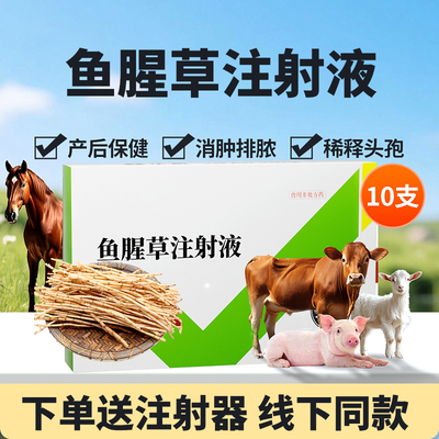 兽药鱼腥草注射用液母消炎