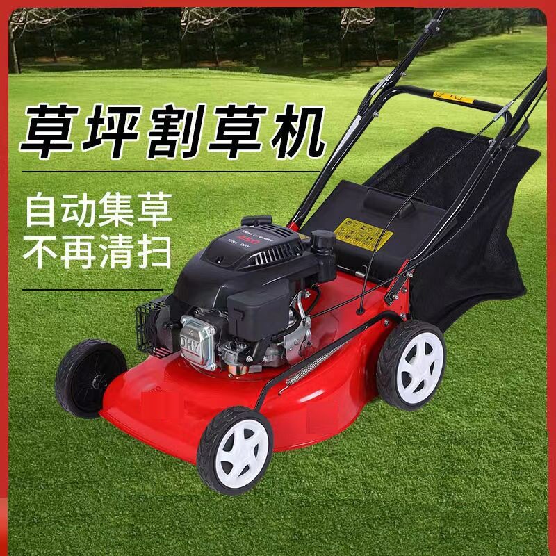 全国发货汽油手推草坪机20寸大草袋收草机球场公园用自走割草机