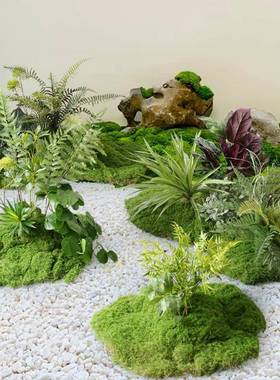 彷真绿色植物造景组合内客厅高苔级感藓景观布置角落植HE-385物室