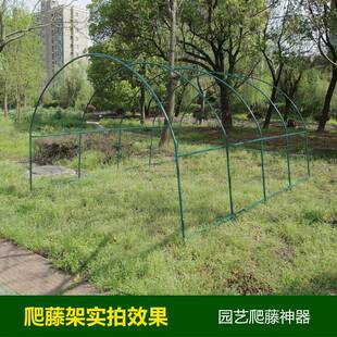 爬骨藤架阳台顶庭院花园支GHS架花楼卉蔬菜攀爬豆角瓜黄架大棚架