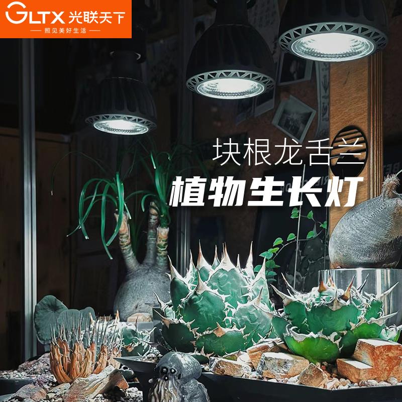 光联天下植物补光灯led轨道射灯全光谱龙舌兰块根仙人球生长灯30W
