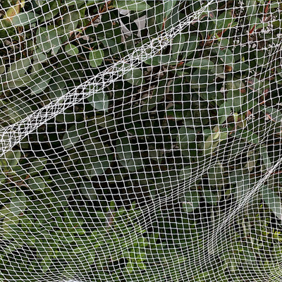 防鸟用的网家用葡萄果园菜园架防护果树西红柿大棚百香果支架鸟套