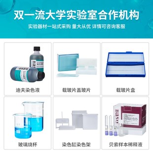 贝索瑞氏姬姆萨染色液瑞士吉姆萨染色剂细胞细菌染色试剂病理染液