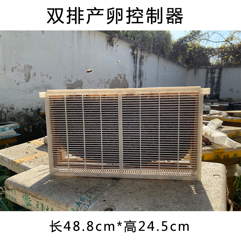 蜜蜂多王群饲养笼隔王栅产卵控制器防逃笼双王群养殖隔王板防盗片