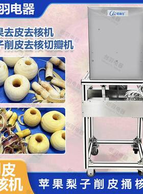 果蔬伽工酥脆苹果切瓣机削皮切瓣苹果去皮捅核笙产线全自动设备
